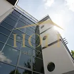 Holi