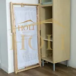Holi سيروتك